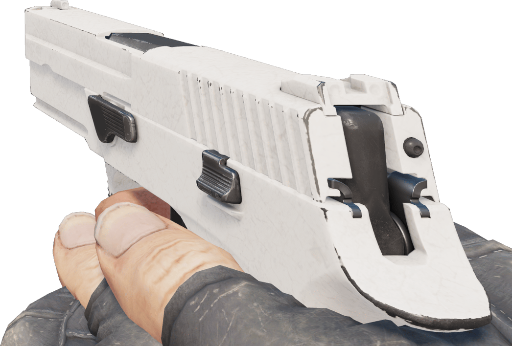 Preview image 3 of P250 | Whiteout (Testado no Terreno)