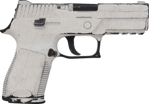 Preview image 2 of P250 | Whiteout (Consumato)