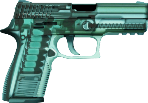 Preview image 2 of P250 | Raggi X (Nuovo di fabbrica)