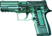 P250 | X-Ray image
