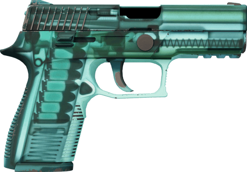 Preview image 2 of P250 | X-Ray (현장에서 쓰인)