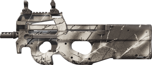 P90 | 白蜡木 (久经沙场)