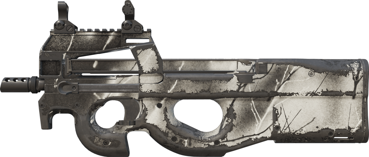 Preview image 1 of P90 | Ash Wood (Well-Worn)