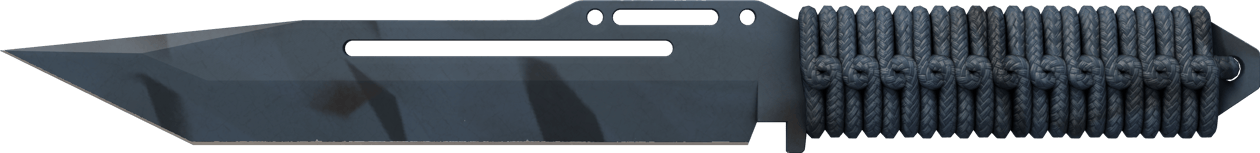 Preview image 2 of ★ Paracord Knife | Night Stripe (Factory New)