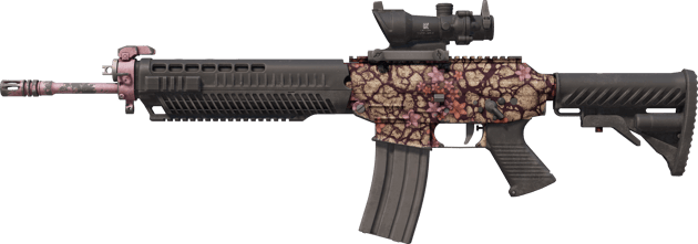 SG 553 | 沙漠之花 (破损不堪)