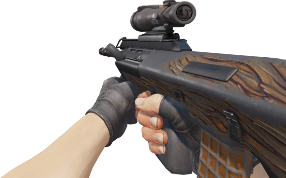 Preview image 3 of Souvenir AUG | Spalted Wood (Battle-Scarred)