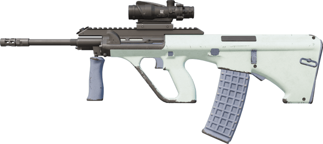 Souvenir AUG | Storm (Well-Worn)