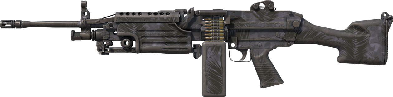 Preview image 1 of Souvenir M249 | 夜半棕榈 (战痕累累)