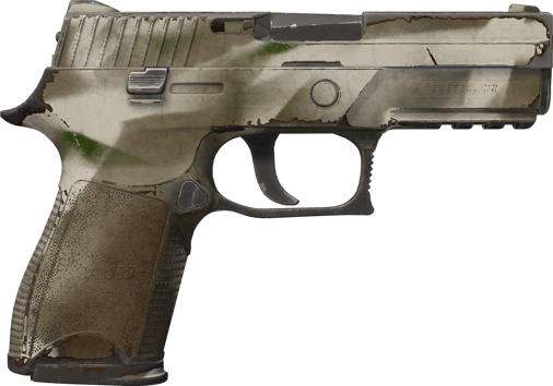 Preview image 2 of Souvenir P250 | Máscara ósea (Algo desgastado)