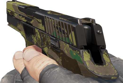 Preview image 3 of Souvenir P250 | Tajga (po ciężkich walkach)