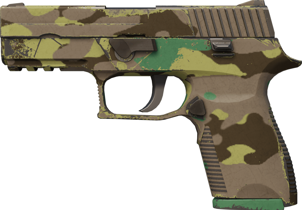 Preview image 1 of Souvenir P250 | Kuzey Ormanı (Görevde Kullanılmış)