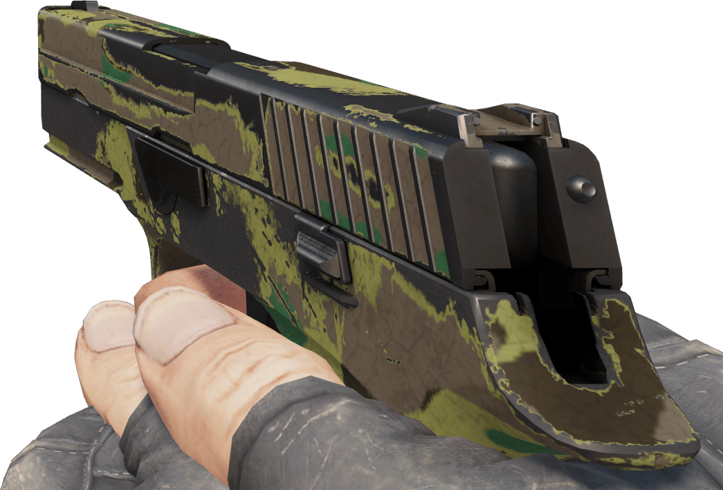 Preview image 3 of Souvenir P250 | Tajga (mocne zużycie)