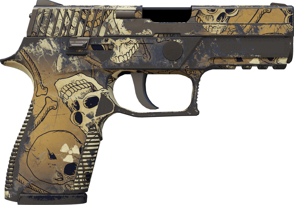 Preview image 2 of Souvenir P250 | Kirlilik (Eskimiş)