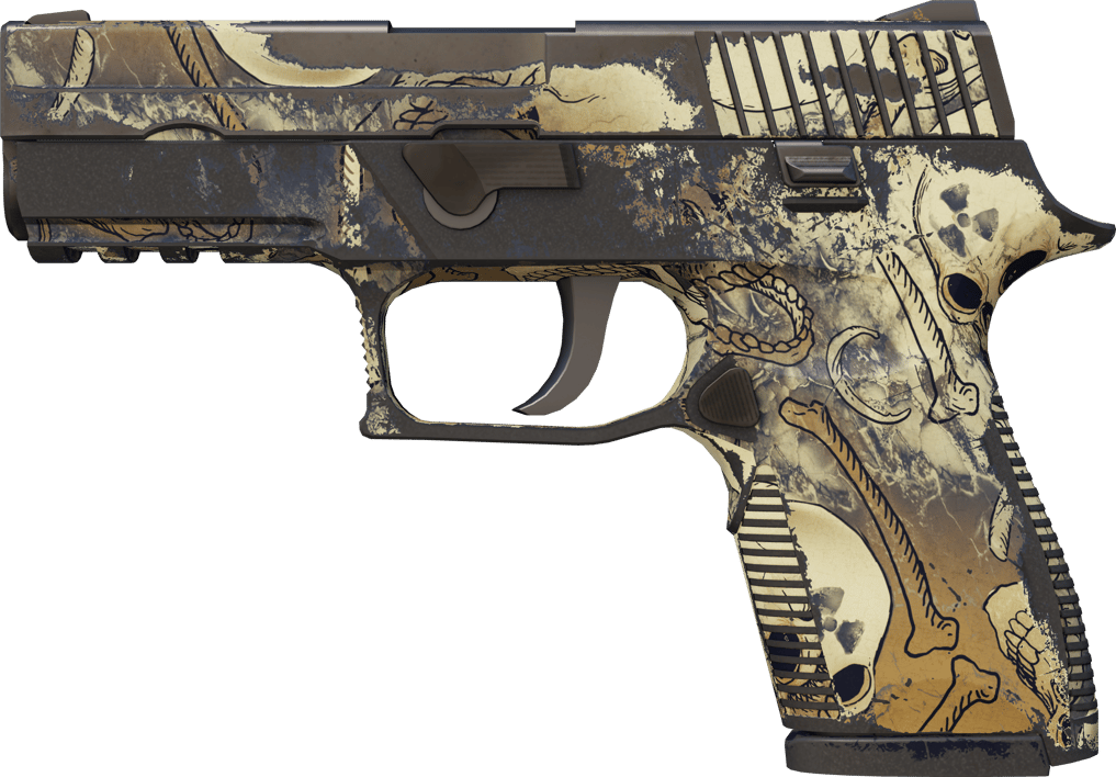 Preview image 1 of Souvenir P250 | Kirlilik (Eskimiş)