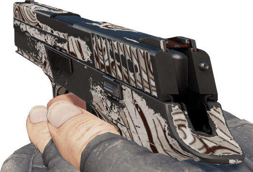 Preview image 3 of Souvenir P250 | Dym z lufy (po ciężkich walkach)