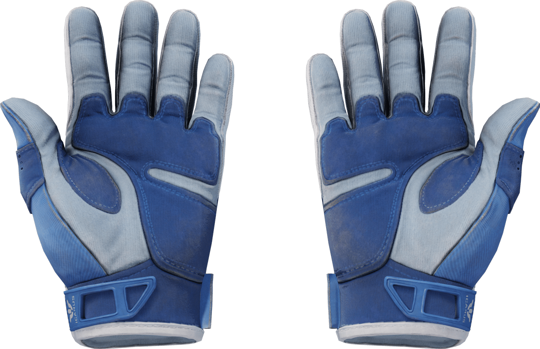 Preview image 2 of ★ 运动手套 | 双栖 (略有磨损)