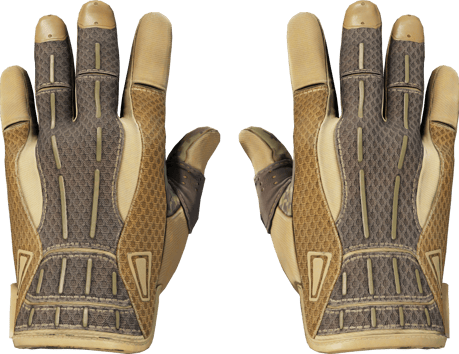 ★ Guanti sportivi | Arid (Testato sul campo)