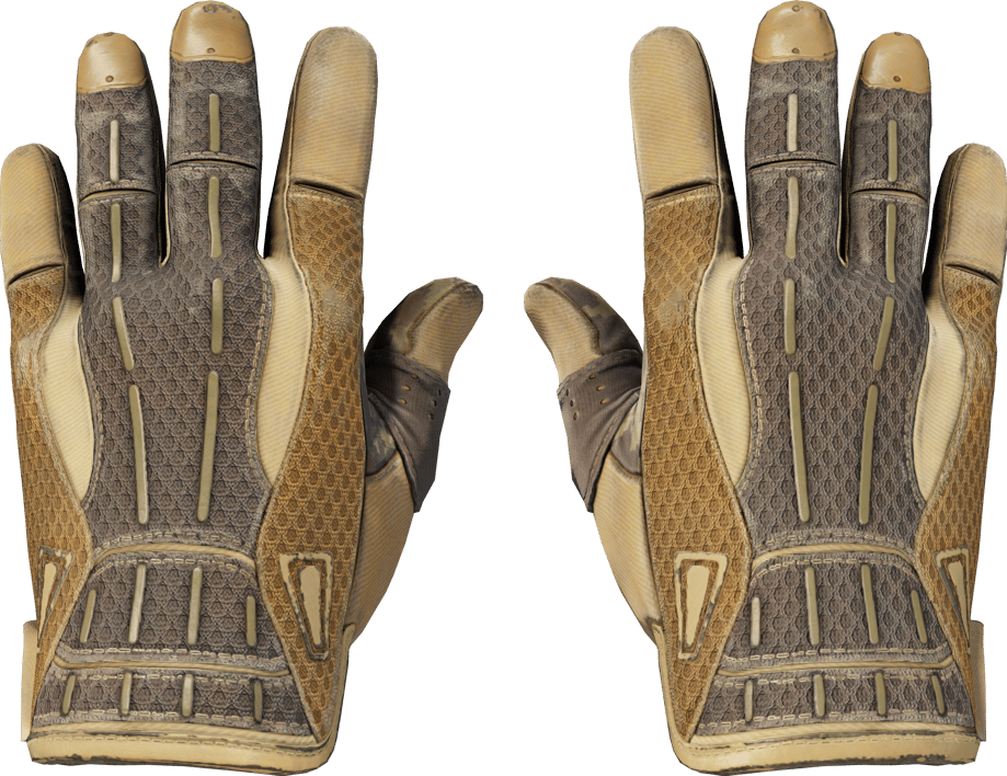 Preview image 1 of ★ Sport Gloves | Arid (かなり摩耗)