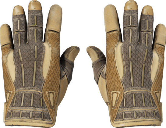 ★ Sport Gloves | Arid (かなり摩耗)