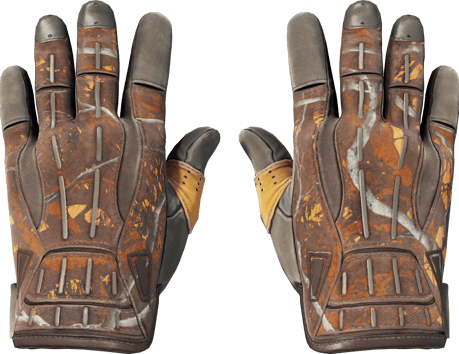 ★ Sport Gloves | Big Game (Battle-Scarred)