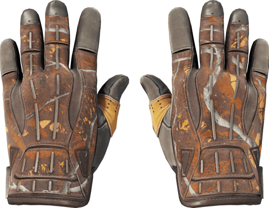 ★ 运动手套 | 大型猎物 (战痕累累)