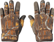 Sport Gloves | Big Game image