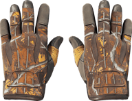 Sport Gloves | Big Game