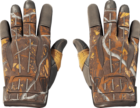 ★ Gants de sport | Gros gibier (Très peu usée)