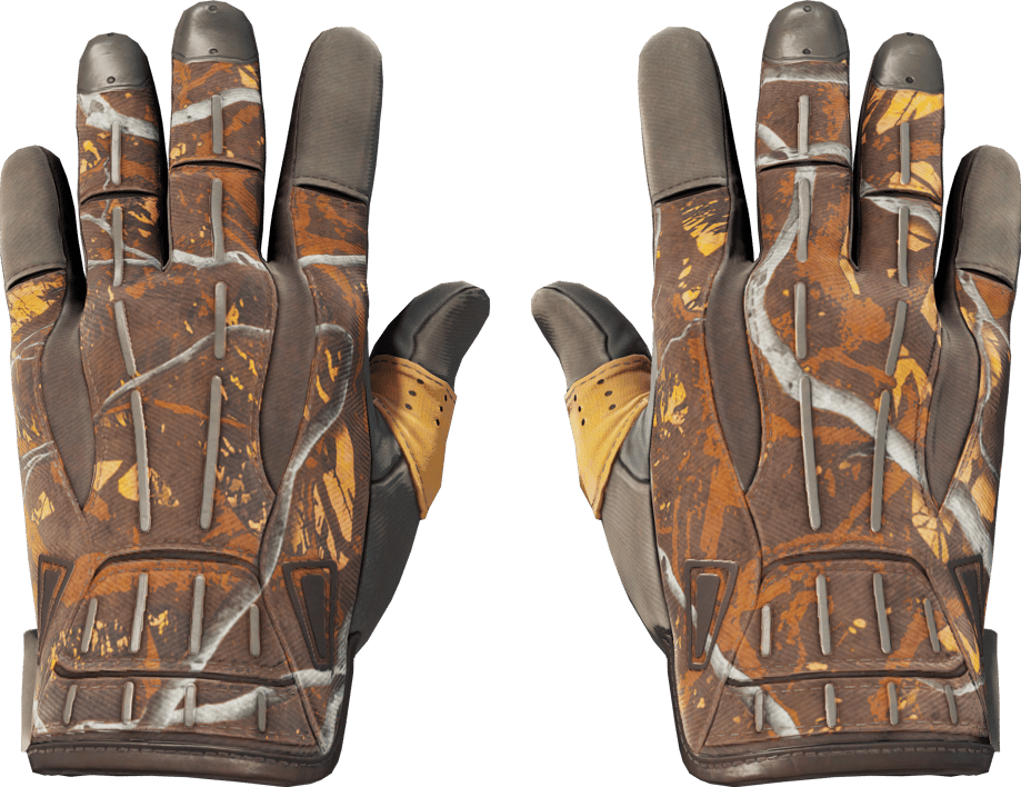 Preview image 1 of ★ 스포츠 장갑 | 대전투 (거의 깨끗한)