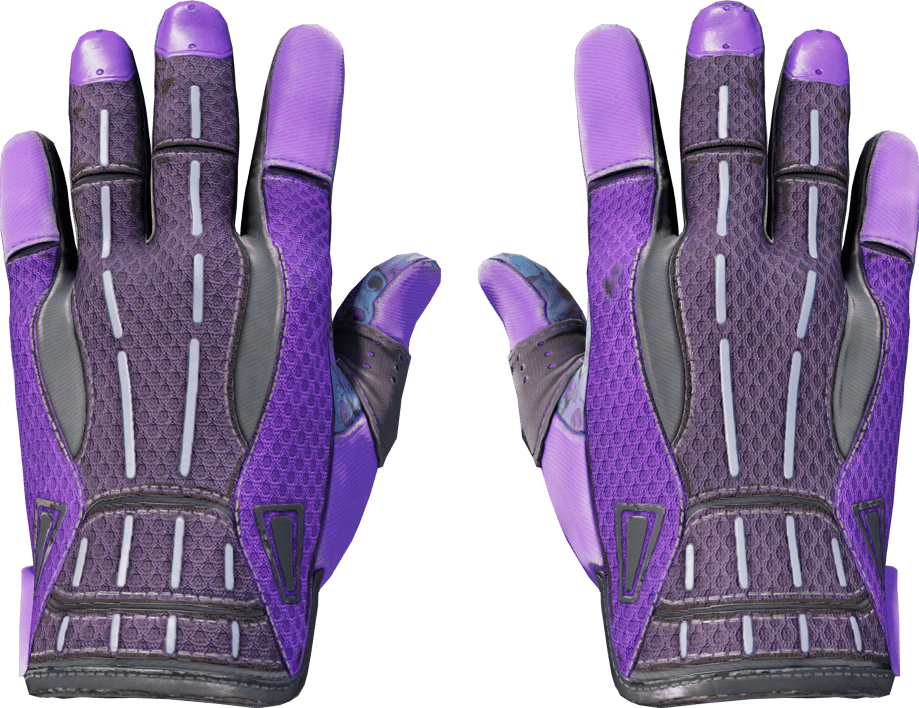 Preview image 1 of ★ Sporthandschuhe | Pandoras Büchse (Abgenutzt)