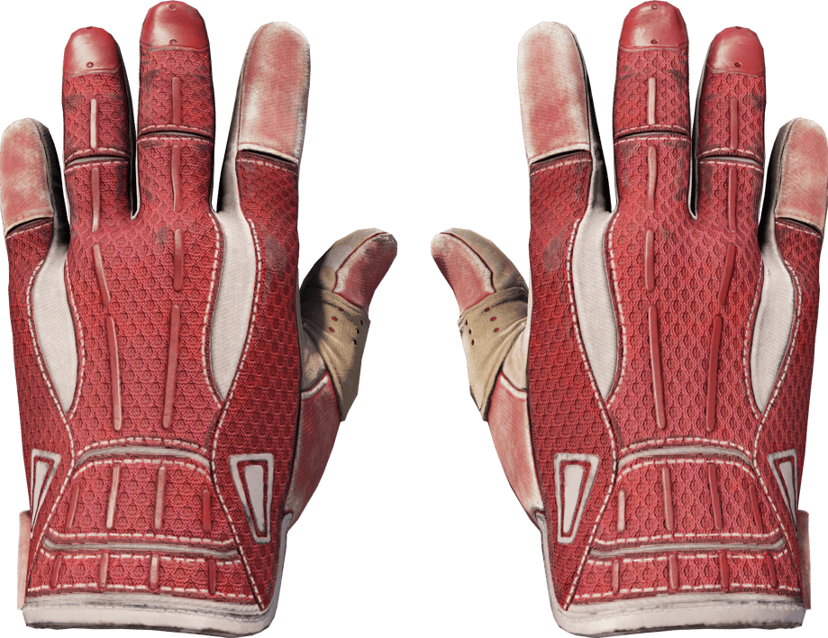 Preview image 1 of ★ Urheiluhanskat | Ritsa (Aikansa elänyt)