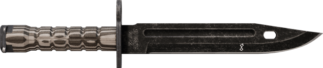 ★ StatTrak™ 刺刀 | 黑色层压板 (略有磨损)