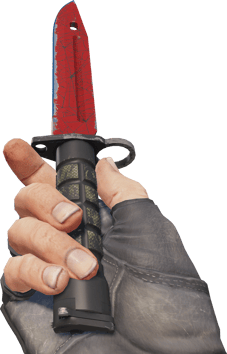 Preview image 3 of ★ StatTrak™ Bayonet | Crimson Web (Field-Tested)