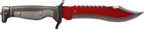 Autotronic image