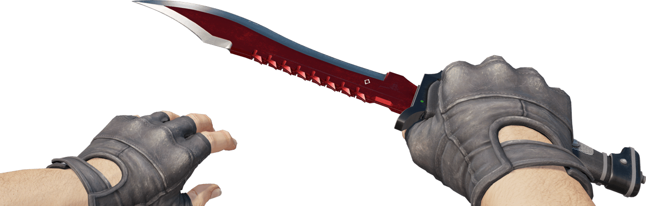 Preview image 4 of ★ StatTrak™ 鲍伊猎刀 | 自动化 (久经沙场)