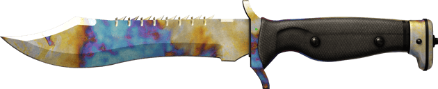 Preview image 2 of ★ StatTrak™ Coltello Bowie | Case Hardened (Consumato)