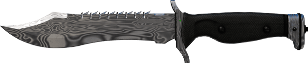 Preview image 2 of ★ StatTrak™ Bowie Knife | Damascus Steel (Minimal Wear)