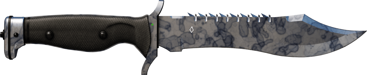 Preview image 1 of ★ StatTrak™ 布伊刀 | 髒亂 (全新出廠)