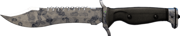 Preview image 2 of ★ StatTrak™ มีดโบวี | Stained (มีรอยถลอกเล็กน้อย)