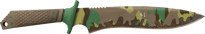 Boreal Forest