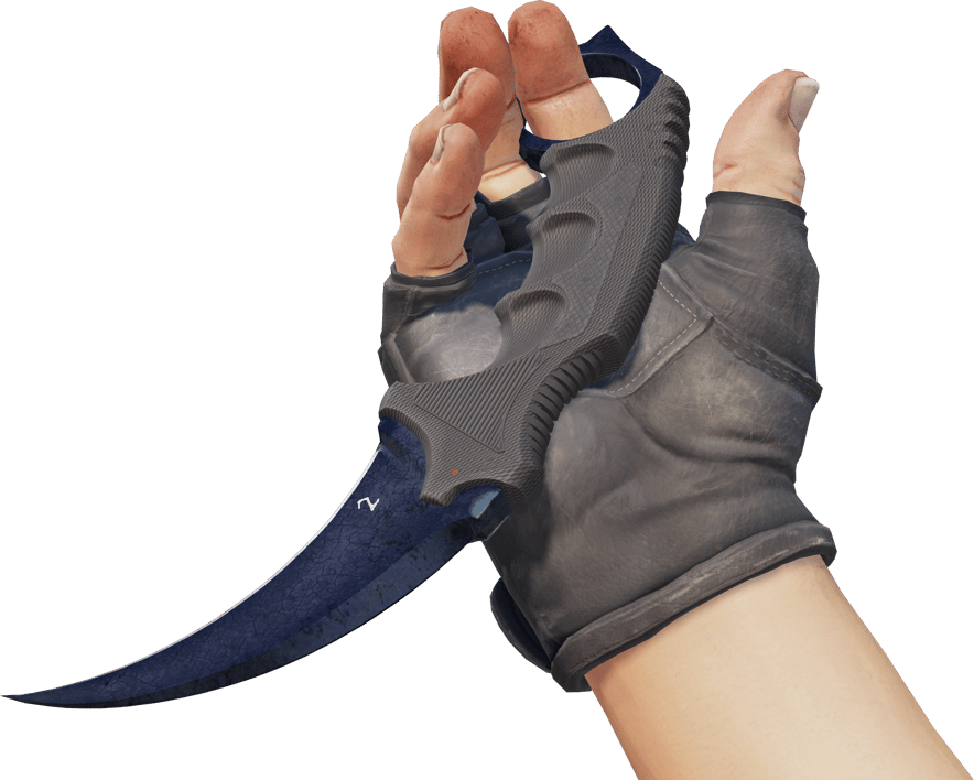 Preview image 3 of ★ StatTrak™ Karambit | Azul metalizado (Deplorable)