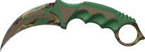 Boreal Forest Boreal Forest image