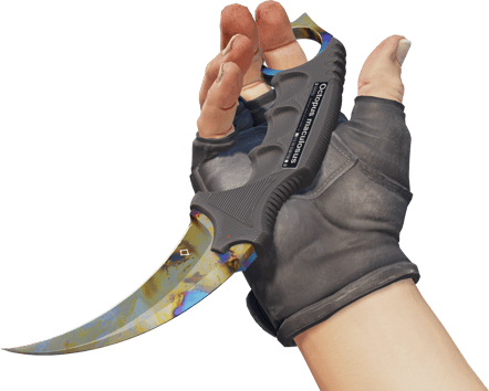Preview image 3 of StatTrak™ Karambit | Case Hardened (Minimal Wear)