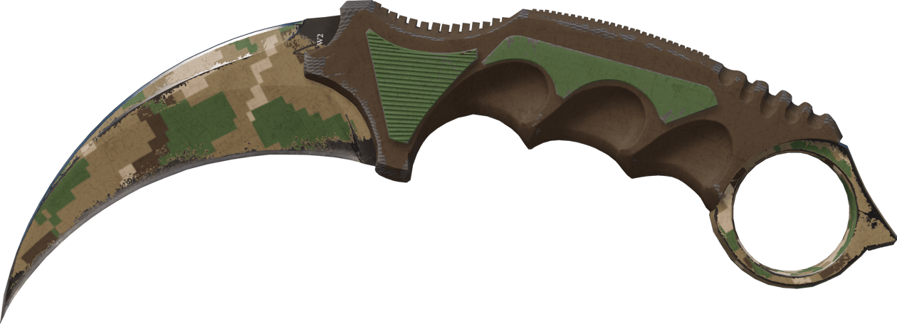 Preview image 1 of ★ StatTrak™ Karambit | Forest DDPAT (実地試験済み)
