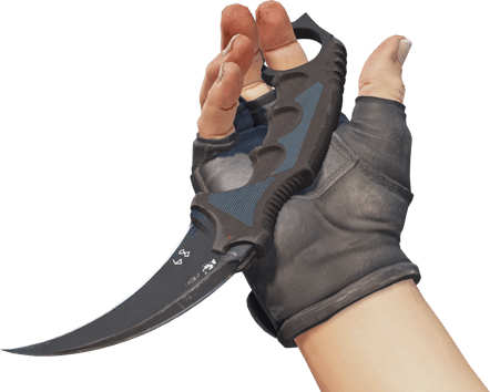 Preview image 3 of ★ StatTrak™ Karambit | Night (Well-Worn)