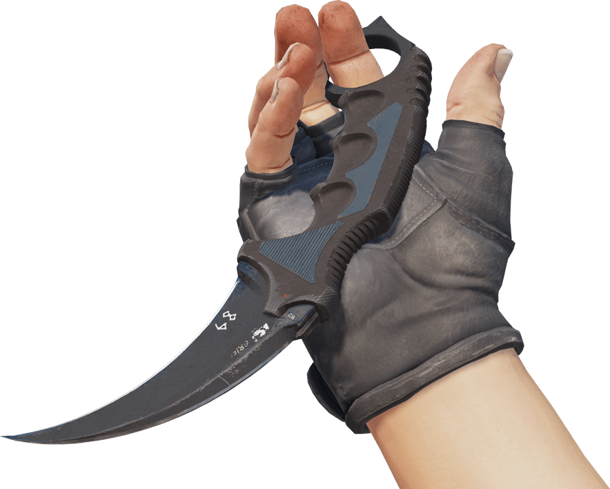 Preview image 3 of ★ StatTrak™ Karambit | Night (Well-Worn)