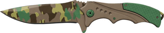 Preview image 2 of ★ StatTrak™ 流浪者匕首 | 北方森林 (久经沙场)