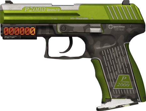 StatTrak™ P2000 | 草皮 (破损不堪)