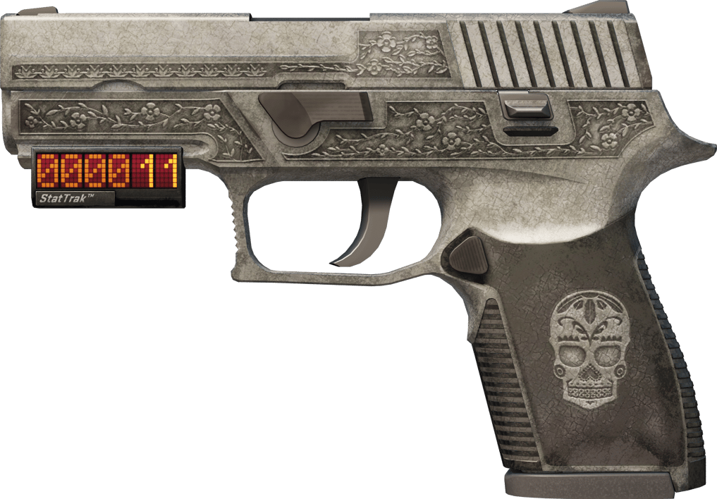 Preview image 1 of StatTrak™ P250 | Kartell (Kampfspuren)
