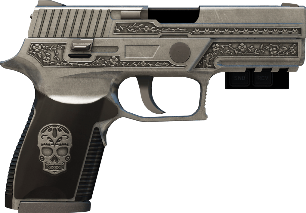 Preview image 2 of StatTrak™ P250 | Cartel (Neuve)